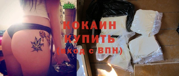 круглые Няндома