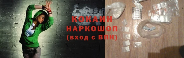 индика Нязепетровск