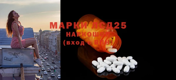 индика Нязепетровск