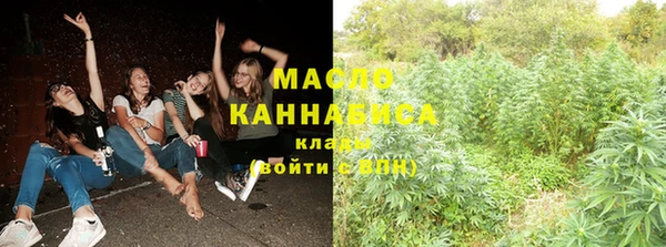 индика Нязепетровск