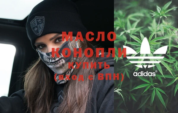 индика Нязепетровск