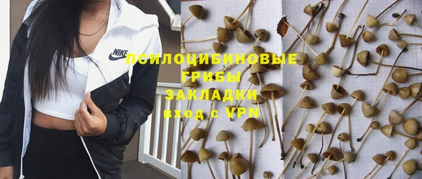 индика Нязепетровск