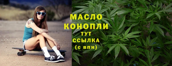 индика Нязепетровск