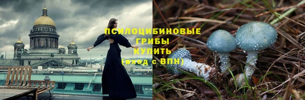гидропоника Нягань